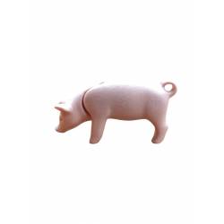 E0405N1310 CERDITO