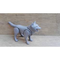 C0601N1001 LOBO GRIS